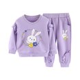 thumbnail image 1 of Tigivemen Toddler Girls Fall Clothes Long Sleeve Outfits Baby Girl Clothes Kids Printed Sweatshirt Pant and Top Set Purple Size 2-3 Years, 1 of 6