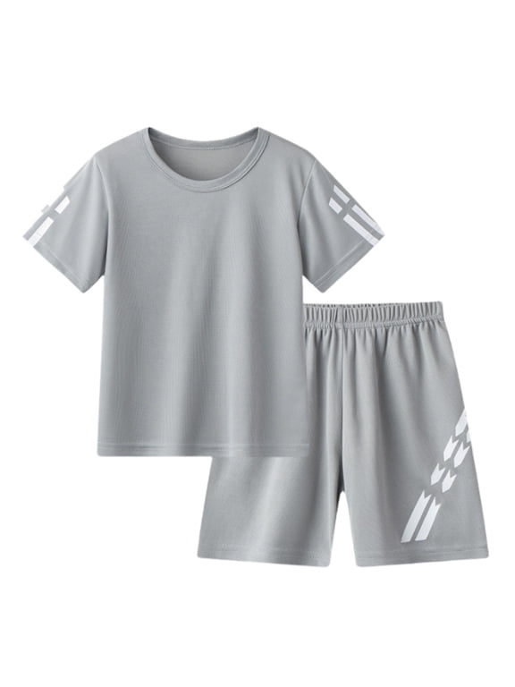 Boy Casual Active Outfits Quick Drying Short Sleeve T-Shirt & Shorts Set, Sizes 3-4