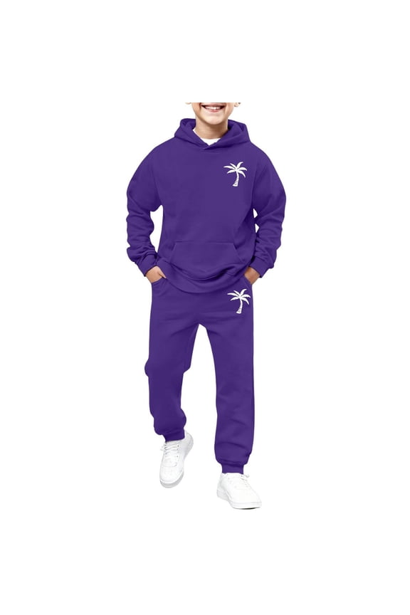 Boys Outfits Coconut Tree Print Pullover Hoodie Sweatpants Set, Sizes 2-13