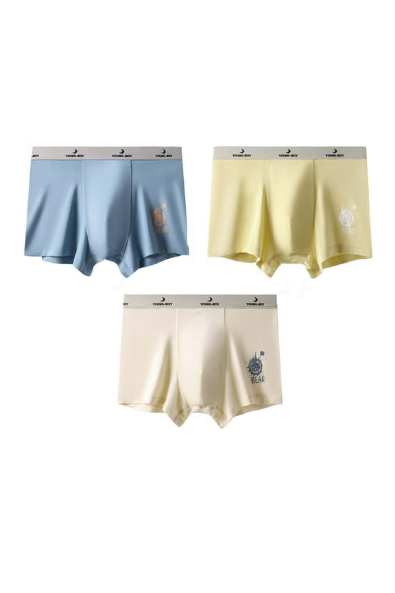 Boys Seamless Comfort Flex Tagless Boxer Briefs Soft Underwear, 3 Pack, Sizes 11-12