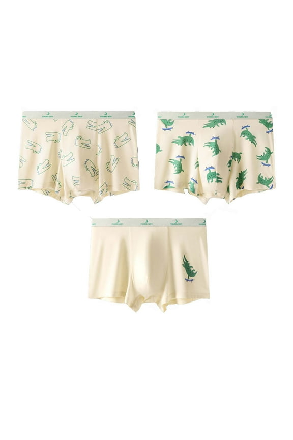 Boys Seamless Comfort Flex Tagless Boxer Briefs Soft Underwear, 3 Pack, Sizes 9-10