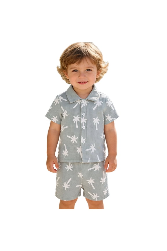 Boys Summer Beach Outfits Coconut Tree Print Short Sleeve Linen Shirt Shorts Set, Sizes 6M-4T