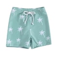 thumbnail image 1 of Tiijoy Boys Swim Trunks Cartoon Dinosaur Print Quick Dry Board Shorts Beach Swimsuit, Sizes 18-24M, 1 of 5