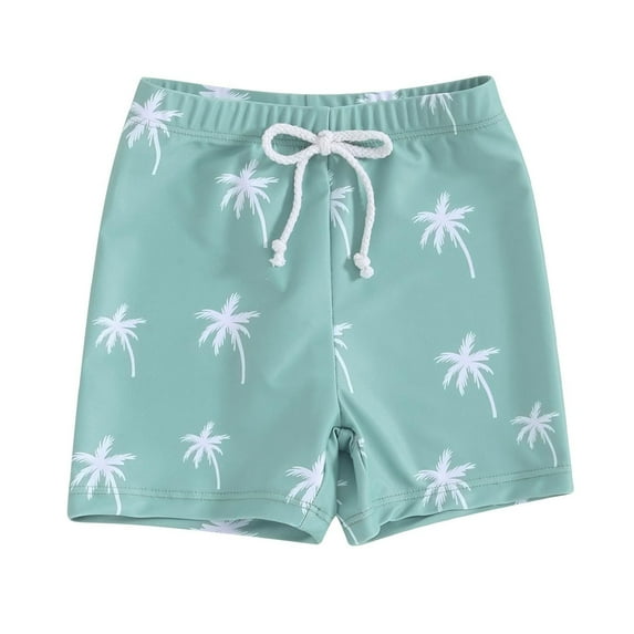 Tiijoy Boys Swim Trunks Cartoon Dinosaur Print Quick Dry Board Shorts Beach Swimsuit, Sizes 18-24M