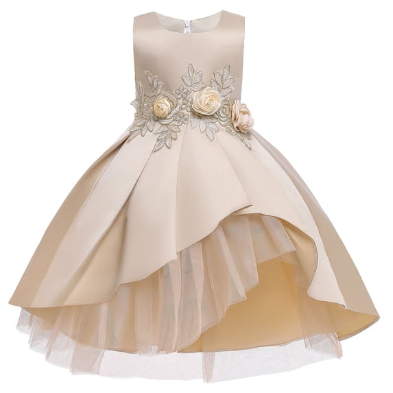 Tiijoy Flower Girls Dress Sleeveless Lace Wedding Bridesmaid Pageant Gown Princess Dress, Sizes 2-3