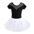 thumbnail image 1 of Tiijoy Girls Ballet Dance Short Sleeve Leotard Tut Skirt Set Ballet Dress, Sizes 18-24M, 1 of 2