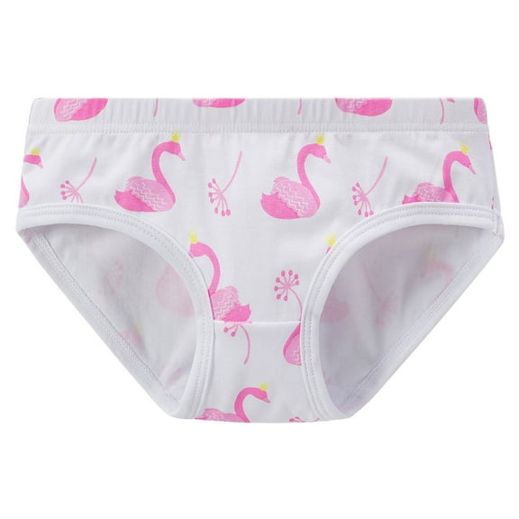 Tiijoy Girls Underwear Hipster Cotton Tagless Panty Stretch Super Soft Brief, Sizes 4-5