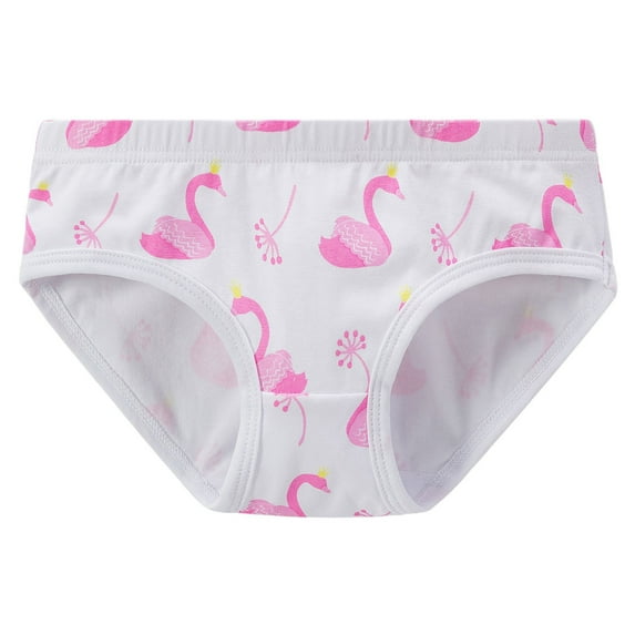 Tiijoy Girls Underwear Hipster Cotton Tagless Panty Stretch Super Soft Brief, Sizes 8-9