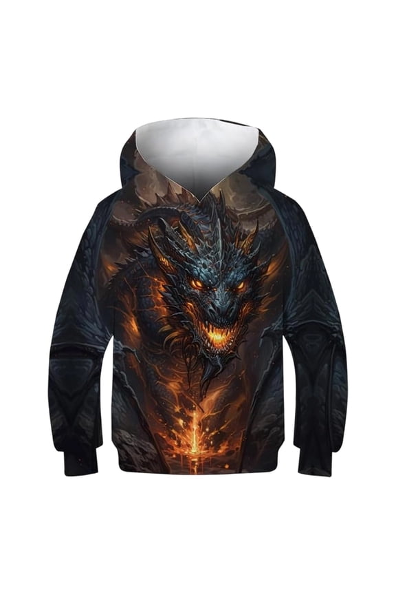 Boys Graphic Hoodies Dragon 3D Print Hooded Sweatshirt Pullover Hoodie Top