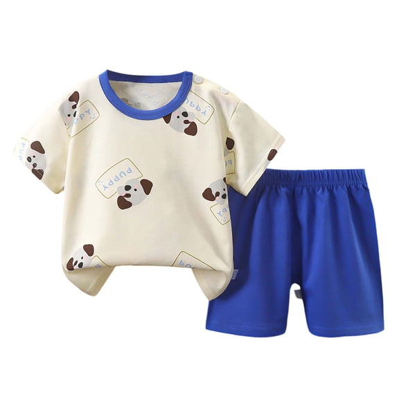 Tiijoy Infant Boys Summer Outfits Cartoon Short Sleeve T Shirt Shorts Children's 2Pcs Set