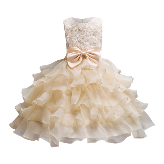 Tiijoy Infant Girl's Sleeveless Rosette Layered Dress Wedding Party Dress Pageant Gown, Sizes 18-24M