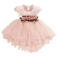 thumbnail image 1 of Tiijoy Infant Girls Flower Ruched Tutu Dress Short Sleeve Princess Dresses, Sizes 12-18M, 1 of 4