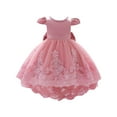thumbnail image 1 of Tiijoy Infant Girls Lace Mesh Dress Birthday Party Princess Dress Evening Gown, Sizes 18-24M, 1 of 3