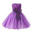 thumbnail image 1 of Tiijoy Infant Girls Sleeveless Rosette Tutu Dress Princess Birthday Pageant Gown Flower Girls Dress, Sizes 18-24M, 1 of 2