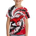 thumbnail image 1 of Tiijoy Little Boys Dinosaur Tshirt Tie Dyed Short Sleeve Round Neck T-Shirt, Sizes 6-7, 1 of 5