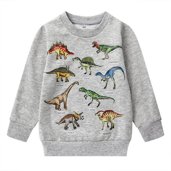 Tiijoy Toddler Boys Crewneck Sweatshirt Dinosaur Print Fall Winter Pullover, Sizes 4-5T