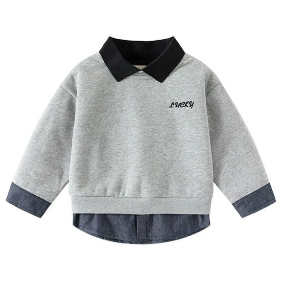 Tiijoy Toddler Boys Polo Sweatshirt Collared Pullover Fall School Uniform, Sizes 3-4T