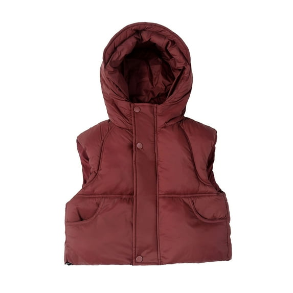 Tiijoy Toddler Boys Puffer Hooded Vest Winter Warm Sleeveless Zip Up Coat, Sizes 1-2