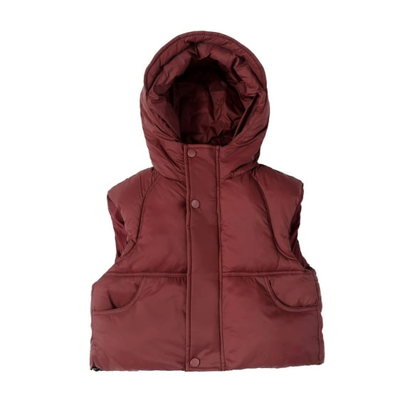 Tiijoy Toddler Boys Puffer Hooded Vest Winter Warm Sleeveless Zip Up Coat, Sizes 1-2
