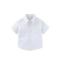 thumbnail image 1 of Tiijoy Toddler Boys Short Sleeve Pocket Shirt Summer Casual Button-Up Shirt, Sizes 3-4T, 1 of 8