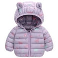 thumbnail image 1 of Tiijoy Toddler Boys Windproof Puffer Coat Dinosaur Warm Zip Up Jacket Outerwear, Sizes 3-4, 1 of 2
