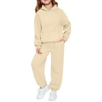 Tiijoy Toddler Girls Casual Active Outfits Pullover Hoodie Sweatpants Set, Sizes 3-4