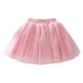thumbnail image 1 of Tiijoy Toddler Girls Floral Embroidery Tutu Skirt Princess Layered Tulle Skirt, Sizes 3-4, 1 of 4