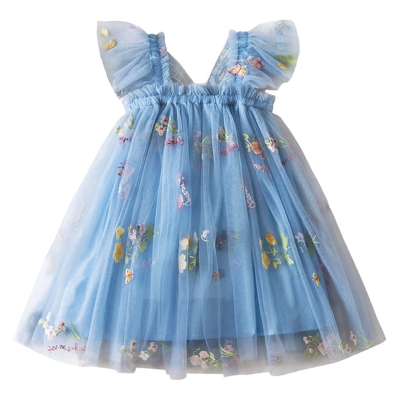 Tiijoy Toddler Girls Flower Embroidery Tulle Dress Flutter Sleeves Mesh Princess Dress, Sizes 2-3