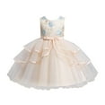 thumbnail image 1 of Tiijoy Toddler Girls Lace Sleeveless Tulle Dress Wedding Birthday Party Pageant Gown, Sizes 2-3, 1 of 3