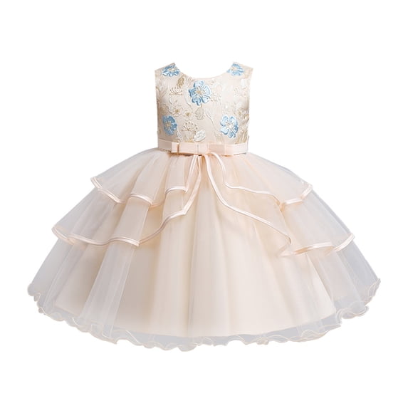 Tiijoy Toddler Girls Lace Sleeveless Tulle Dress Wedding Birthday Party Pageant Gown, Sizes 2-3