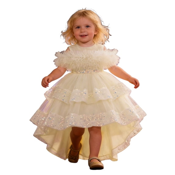 Tiijoy Toddler Girls Layered Ruffles High Low Party Dress Pageant Birthday Princess Dress, Sizes 2-3