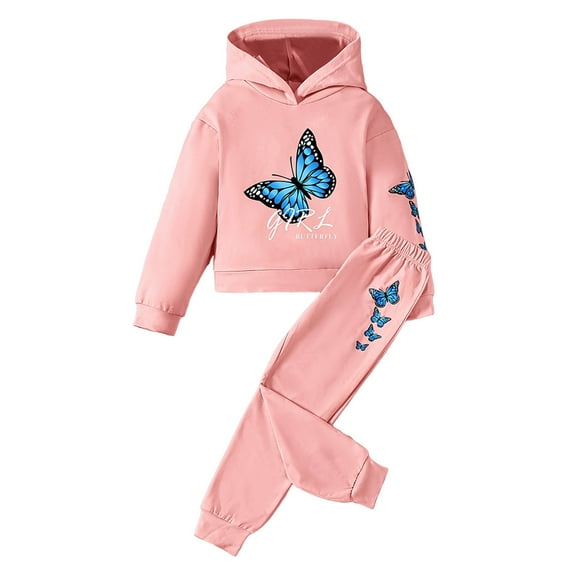 Tiijoy Toddler Girls Outfits Butterfly Print Hoodie Sweatpants 2Pcs Tracksuit, Sizes 3-4T