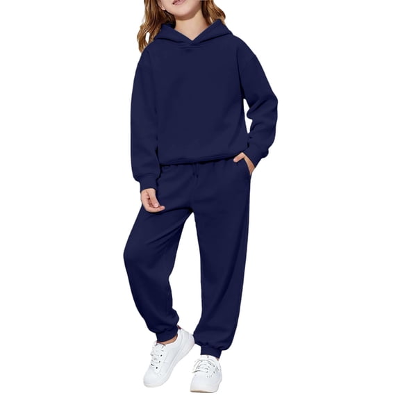 Tiijoy Toddler Girls Outfits Kids Casual Pullover Hoodie Sweatpants Set, Sizes 3-4