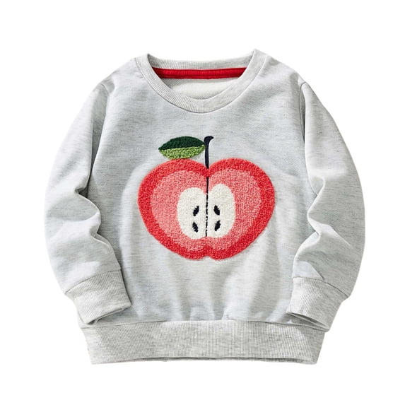 Tiijoy Toddler Girls Sweatshirt Graphic Embroidery Crew Neck Sweatshirts, Sizes 2-3T