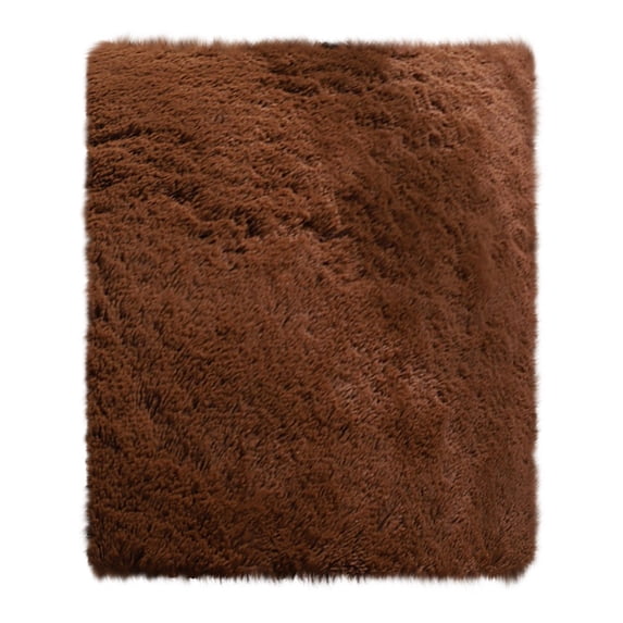 Tiitstoy Area Rugs Modern Home Decorate Soft Fluffy Carpets for Living Room Bedroom Kids Room Fuzzy Plush Non-Slip Floor Area Rug Fluffy Indoor Carpet 23.6x47.2''