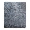 thumbnail image 1 of Tiitstoy Area Rugs Modern Home Decorate Soft Fluffy Carpets for Living Room Bedroom Kids Room Fuzzy Plush Non-Slip Floor Area Rug Fluffy Indoor Carpet 23.6x47.2" Gray, 1 of 5
