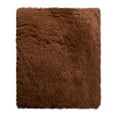 thumbnail image 1 of Tiitstoy Area Rugs Modern Home Decorate Soft Fluffy Carpets for Living Room Bedroom Kids Room Fuzzy Plush Non-Slip Floor Area Rug Fluffy Indoor Carpet 23.6x47.2'', 1 of 5