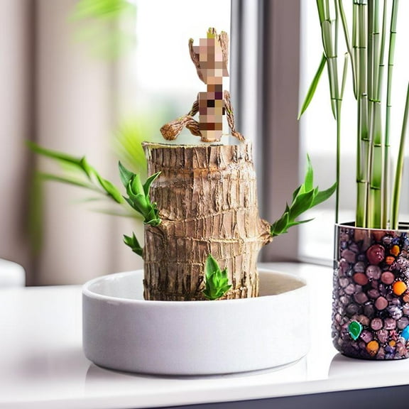 TikTok Trending Brazilian Lucky Tree with Pot and Secret Doll, Perfect Halloween or Holiday Gift for Luck, Fun and Wealth Energy