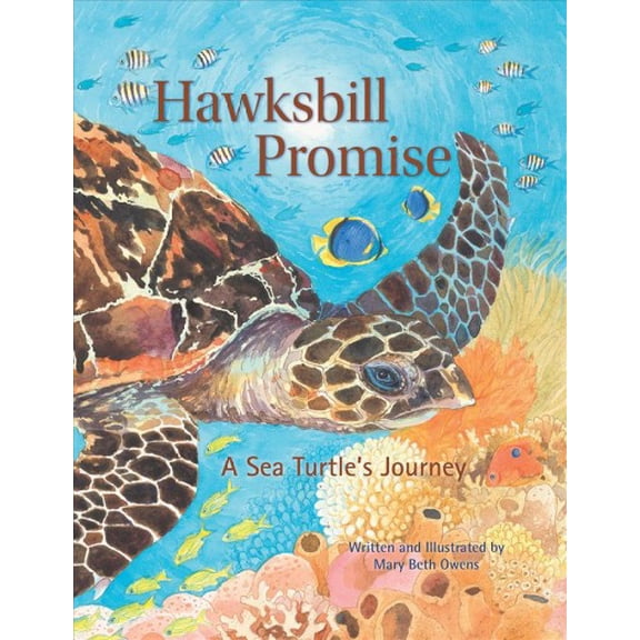Pre-Owned Hawksbill Promise: The Journey of an Endangered Sea Turtle Tilbury House Nature Book Hardcover Mary Beth Owens