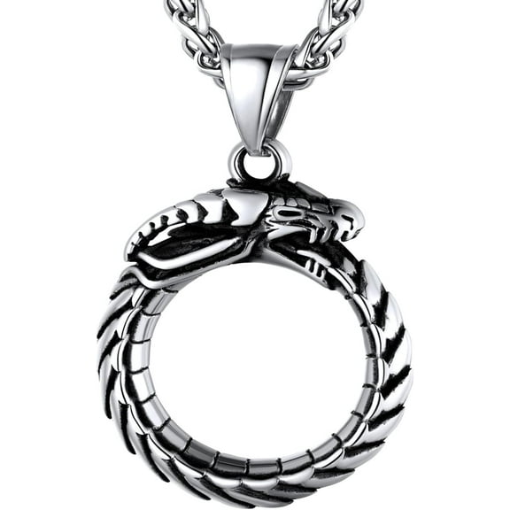 Tilga Punk Chameleon/Eagle/Dragon/Hawk/Wolf Necklaces for Men Women, Retro Black Stainless Steel Animal Pendant Personalized Jewelry Gift Cool Necklace with 22 Inch Chain
