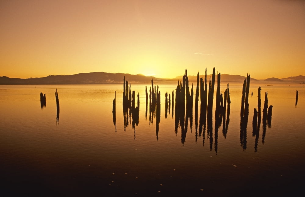 Tillamook Bay At Sunrise Oregon Usa Canvas Art - Bilderbuch Design Pics (17 x 11)