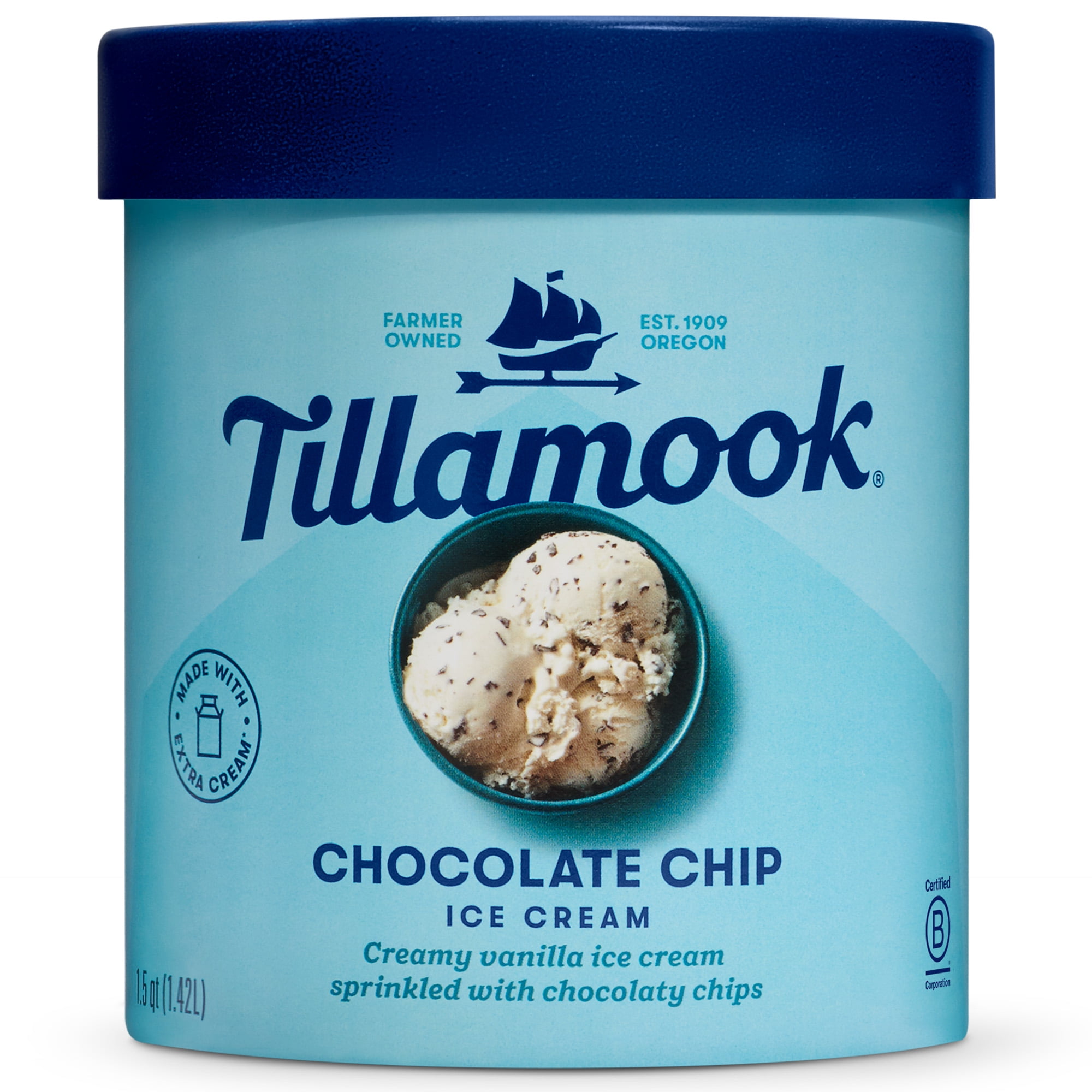 CHOCOLATE CHIP CREAMY VANILLA ICE CREAM SPRINKLED WITH CHOCOLATY CHIPS, CHOCOLATE CHIP