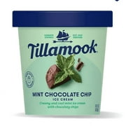 Tillamook Mint Chocolate Chip Ice Cream, 16 fl. oz. Pint (Pack of 8)