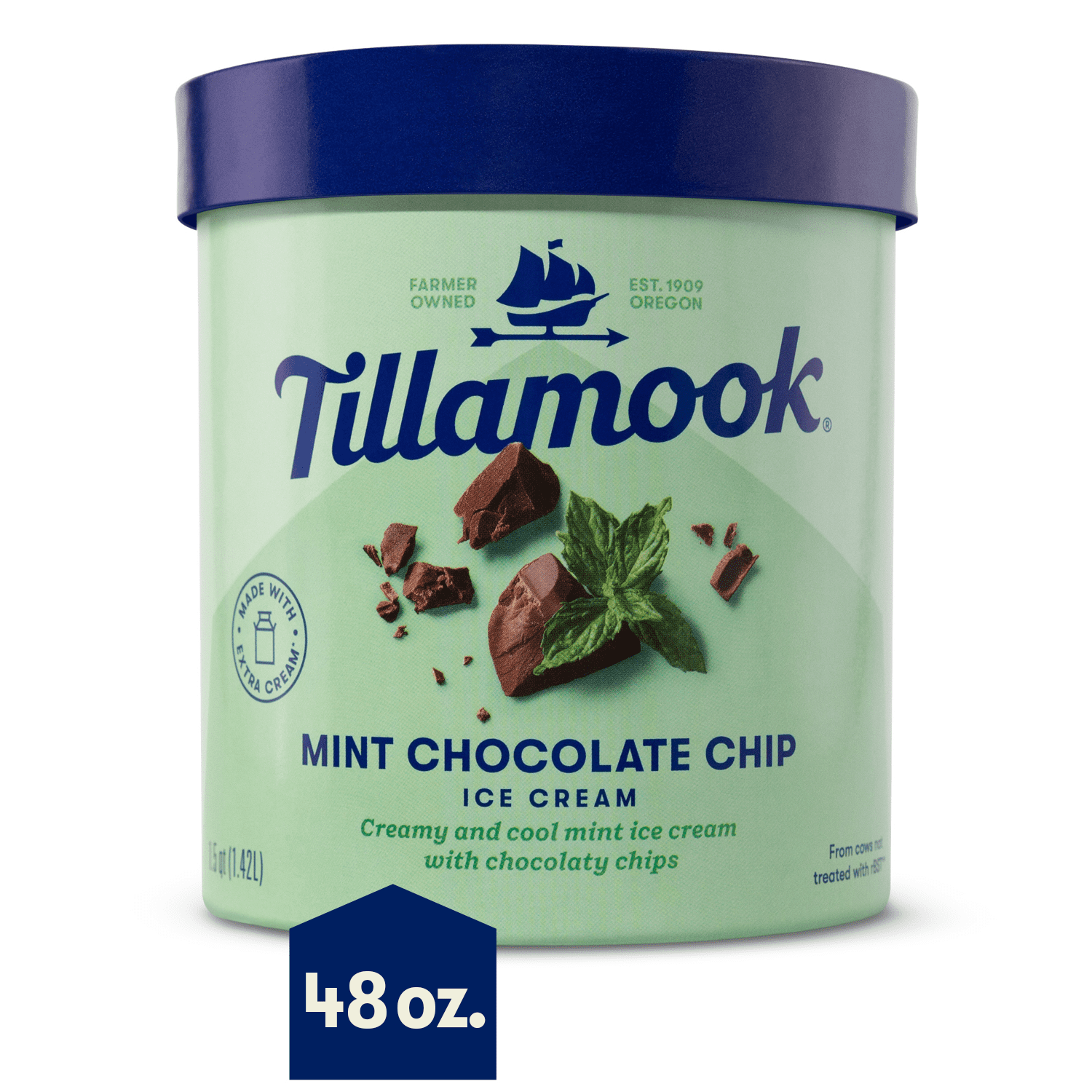 Mint Chocolate Chip Ice Cream