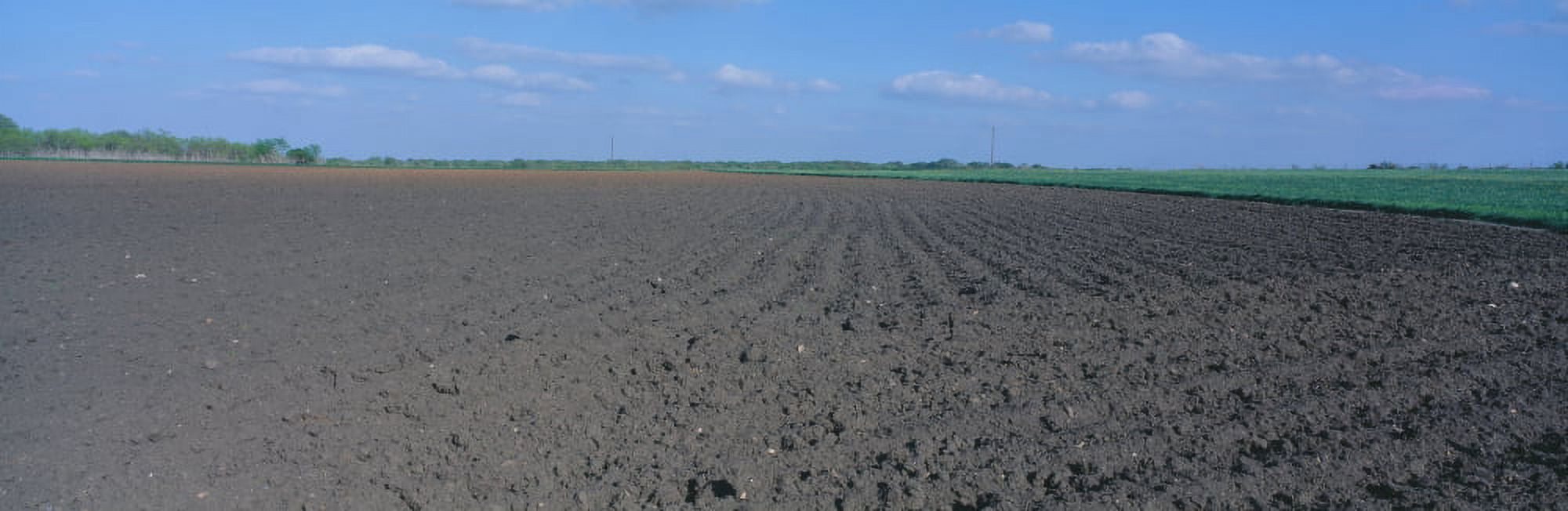 Tilled Farm Field Texas Canvas Art - Panoramic Images (27 x 9)