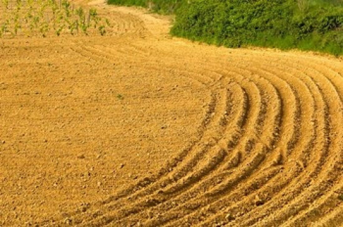 Tilled Ground Ready for Planting Brinas La Rioja Spain Canvas Art - Janis Miglavs DanitaDelimont (24 x 15)