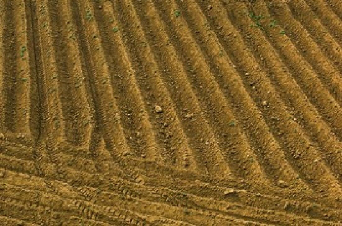 Tilled Ground Ready for Planting Brinas La Rioja Spain Canvas Art - Janis Miglavs DanitaDelimont (35 x 23)