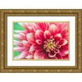 thumbnail image 1 of Tilley, Rob 18x13 Gold Ornate Wood Framed with Double Matting Museum Art Print Titled - Washington State-Seattle Dahlia, 1 of 4