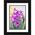 thumbnail image 1 of Tilley, Rob 23x32 Black Ornate Wood Framed with Double Matting Museum Art Print Titled - Washington State-Bellevue Hyacinth, 1 of 4