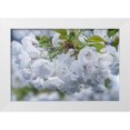 thumbnail image 1 of Tilley, Rob 32x23 White Modern Wood Framed Museum Art Print Titled - Oregon-Hood River Cherry blossoms, 1 of 4